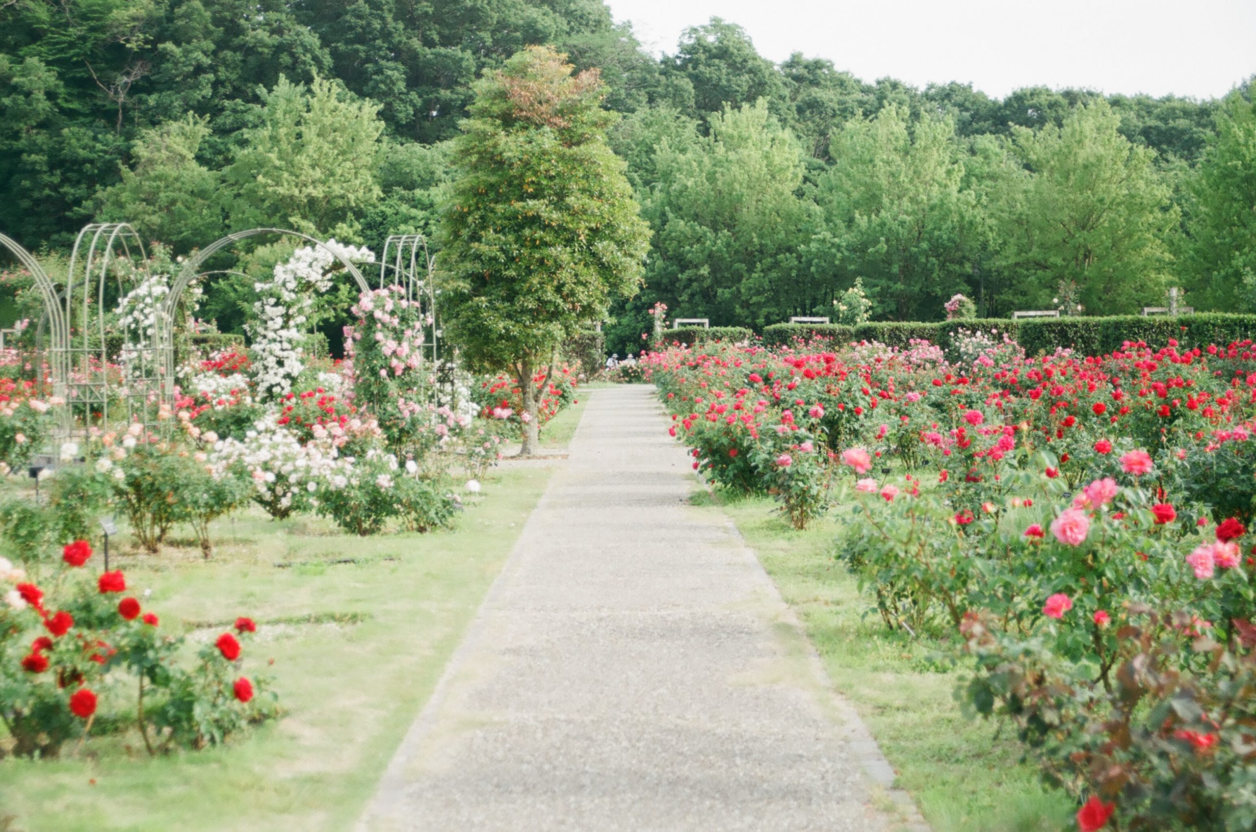 » Garten online planen Die 3 besten Gartenplaner in der