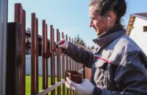 » Die besten Obststräucher für den Garten Pflegeleichte Sträucher